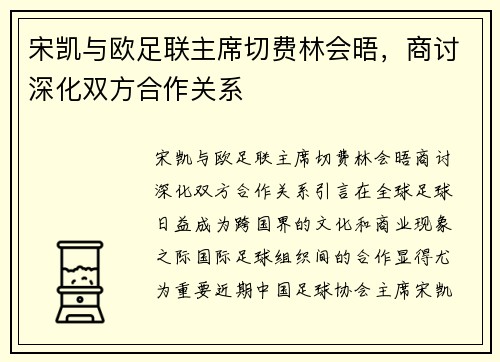 宋凯与欧足联主席切费林会晤，商讨深化双方合作关系