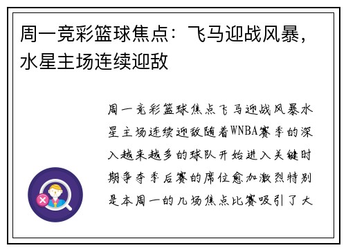 周一竞彩篮球焦点：飞马迎战风暴，水星主场连续迎敌