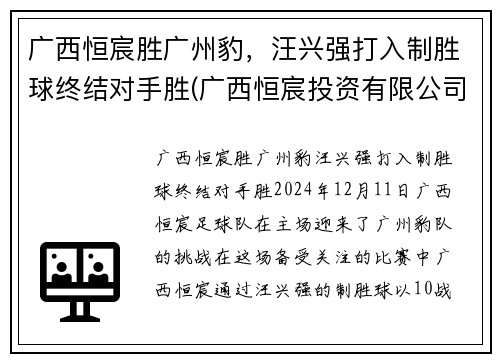 广西恒宸胜广州豹，汪兴强打入制胜球终结对手胜(广西恒宸投资有限公司开发楼盘)