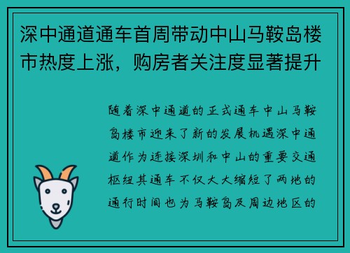 深中通道通车首周带动中山马鞍岛楼市热度上涨，购房者关注度显著提升