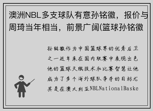 澳洲NBL多支球队有意孙铭徽，报价与周琦当年相当，前景广阔(篮球孙铭徽个人资料)