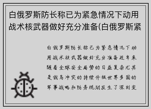 白俄罗斯防长称已为紧急情况下动用战术核武器做好充分准备(白俄罗斯紧张局势)