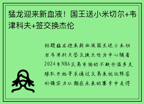 猛龙迎来新血液！国王送小米切尔+韦津科夫+签交换杰伦
