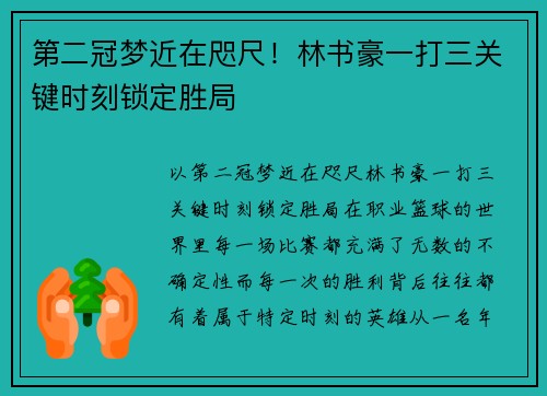 第二冠梦近在咫尺！林书豪一打三关键时刻锁定胜局