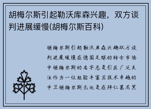 胡梅尔斯引起勒沃库森兴趣，双方谈判进展缓慢(胡梅尔斯百科)